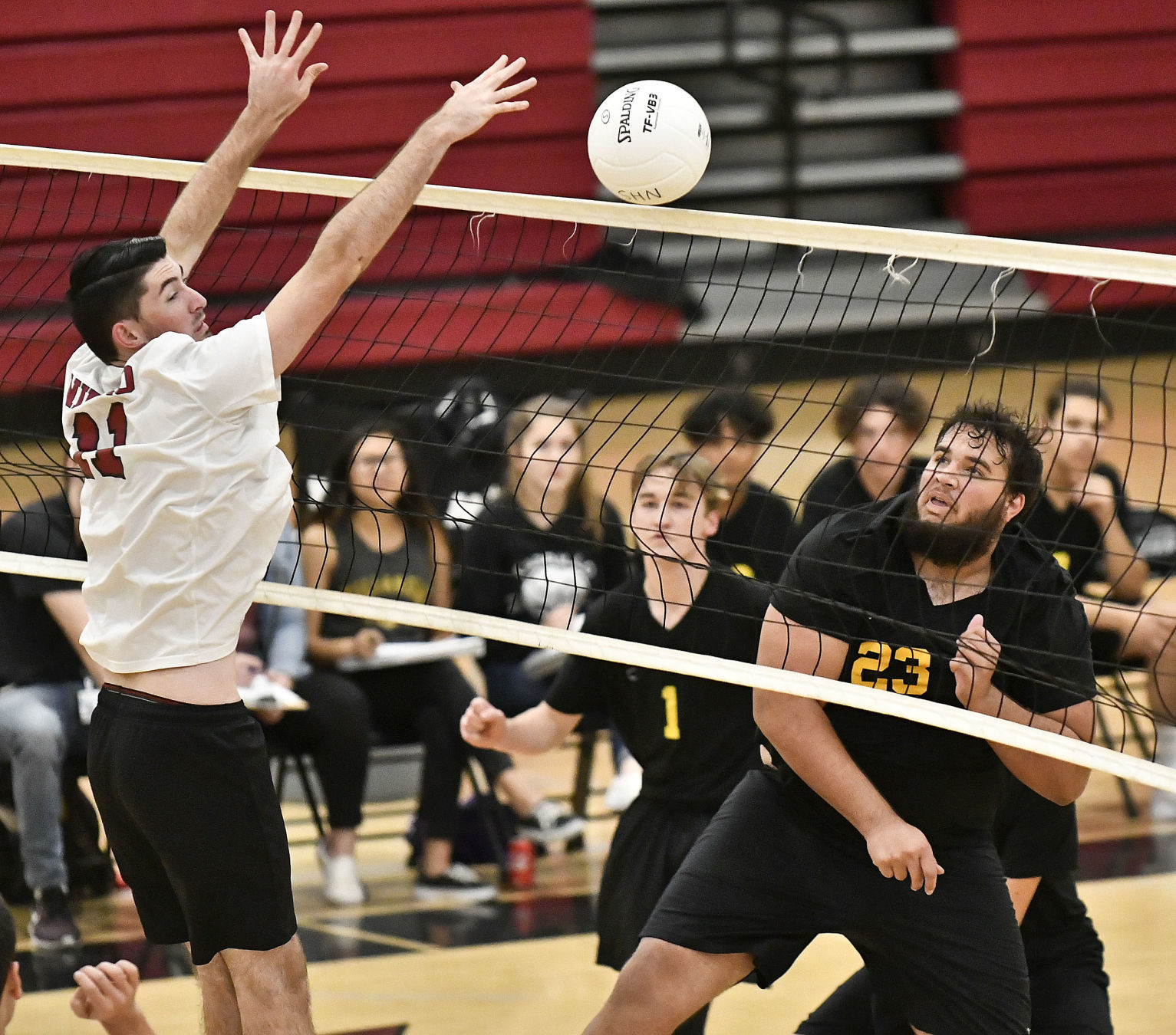 031318 CHS NHS volleyball 01.jpg